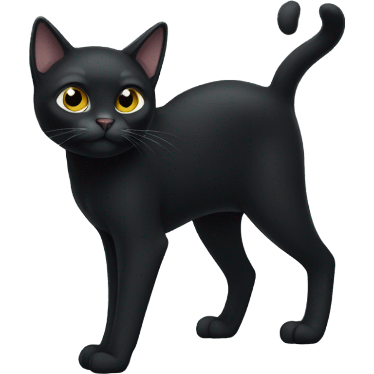 Black cat standing, the cat has white paws and white chest emoji