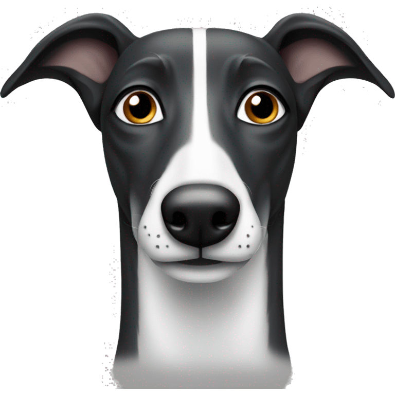 Black and white greyhound  emoji