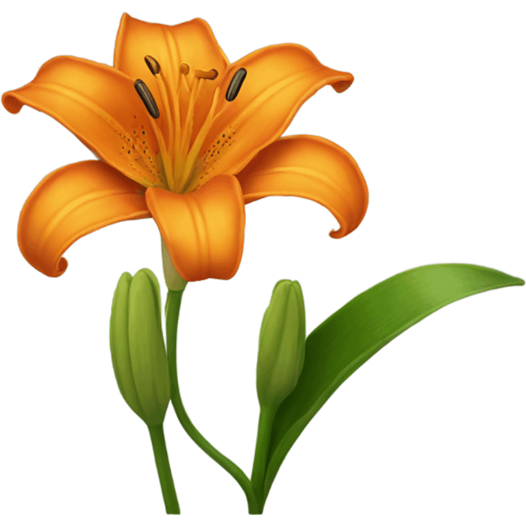 one orange lily emoji