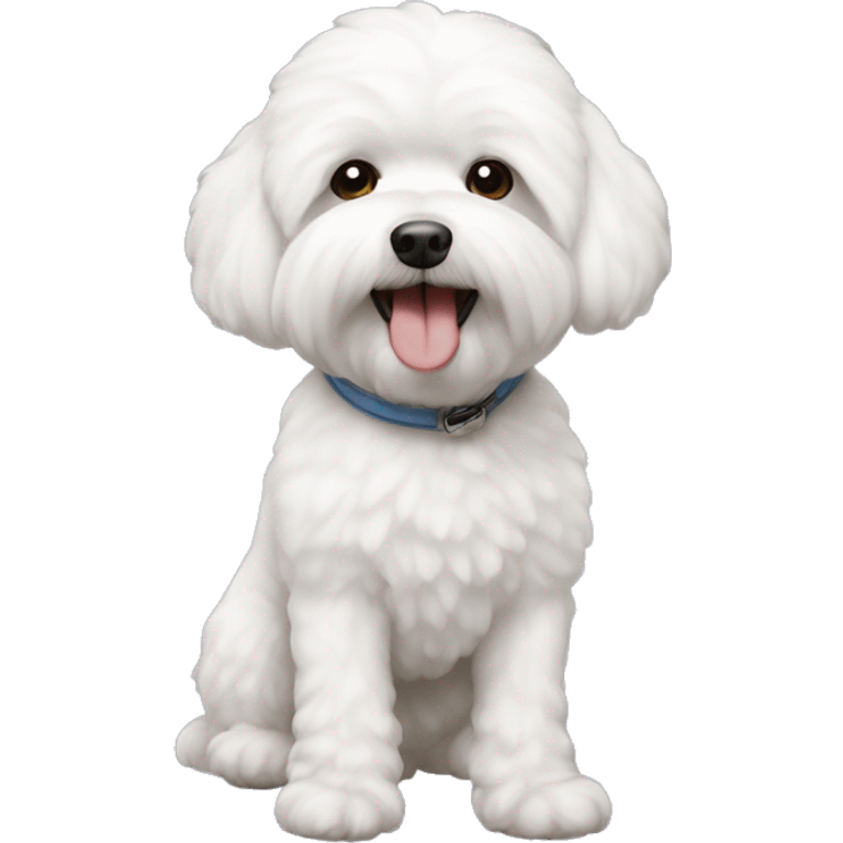 Bichon maltés  emoji