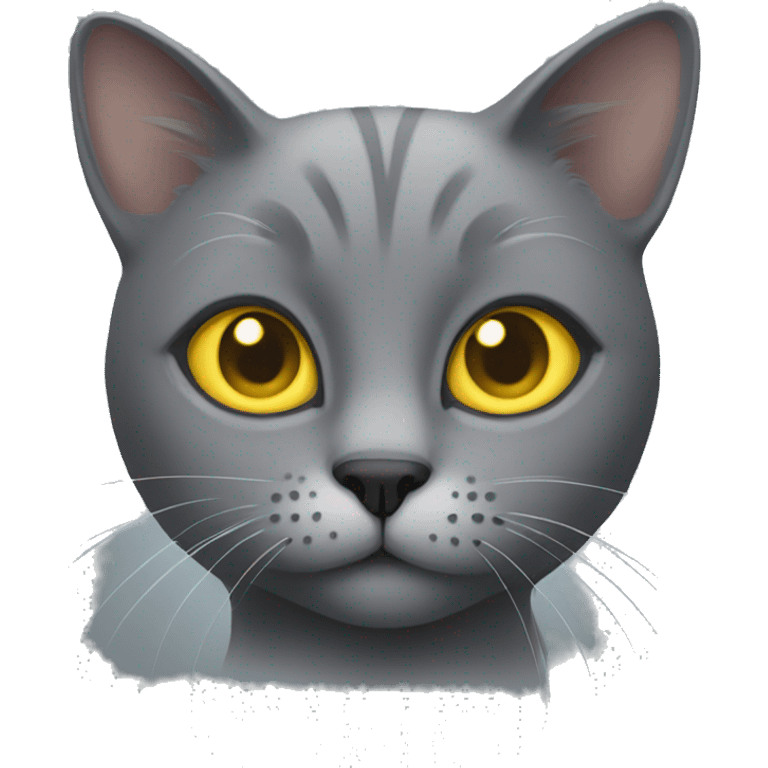 grey cat with yellow eyes  emoji