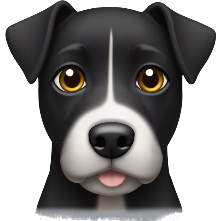 A black Patterdale Terrier dog with a white patch on its chest and brown eyes. emoji