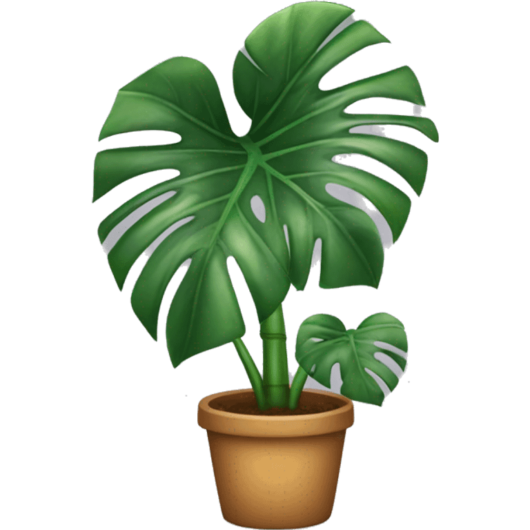 big monstera plant  emoji