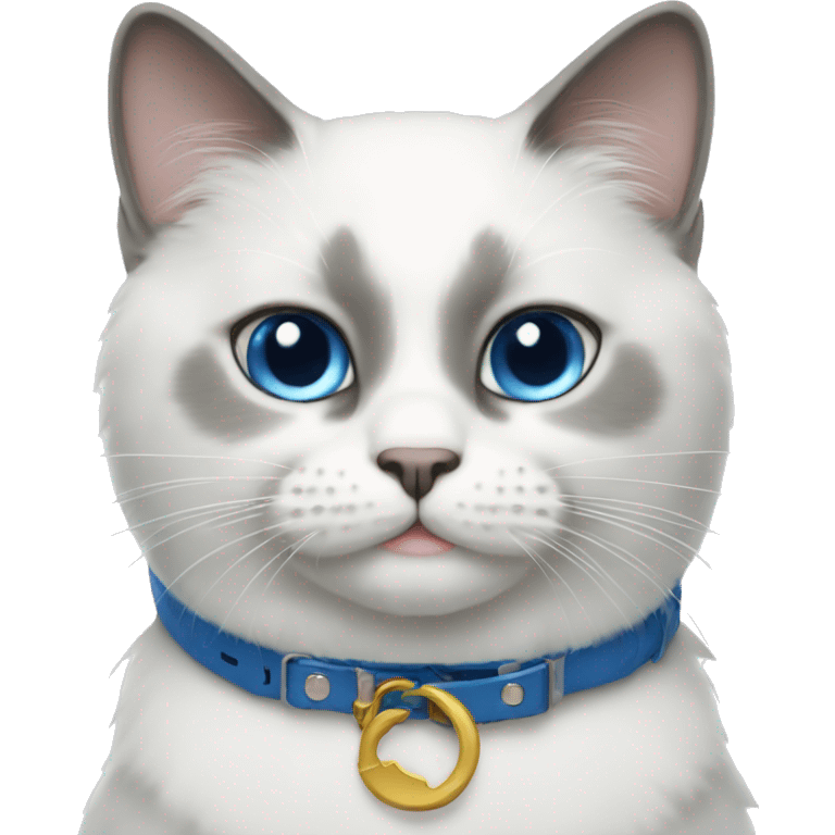 white cat blue collar emoji