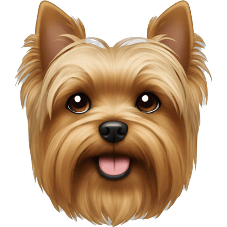 fat yorkie  emoji