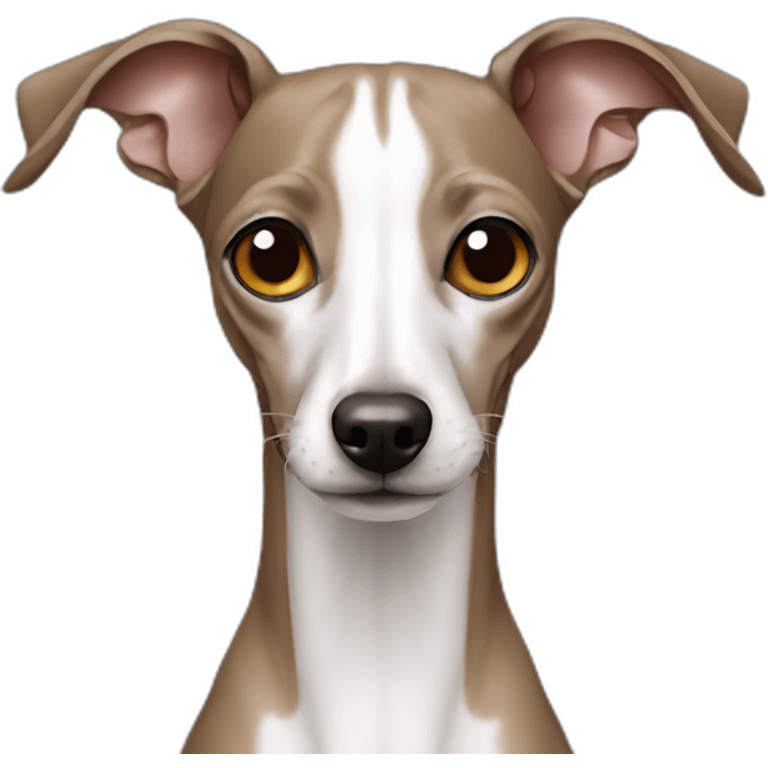 italian greyhound emoji