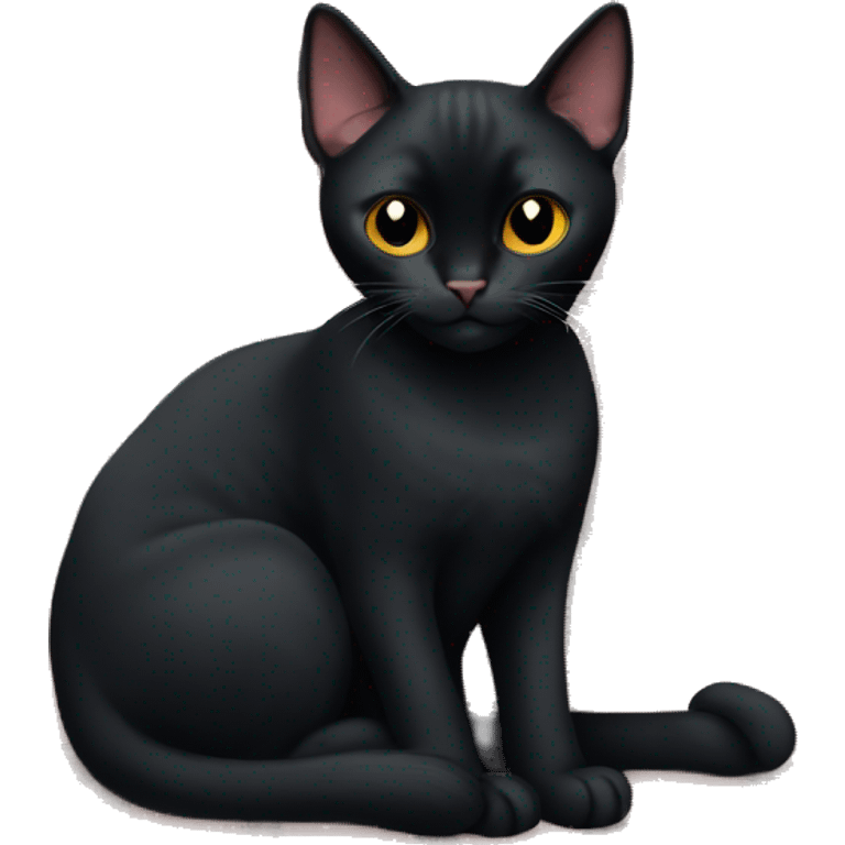 Bombay cat on a blanket emoji