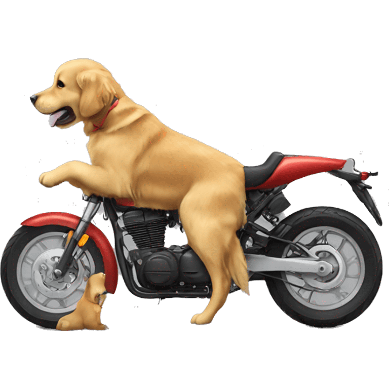 Golden retriever motorcycle emoji