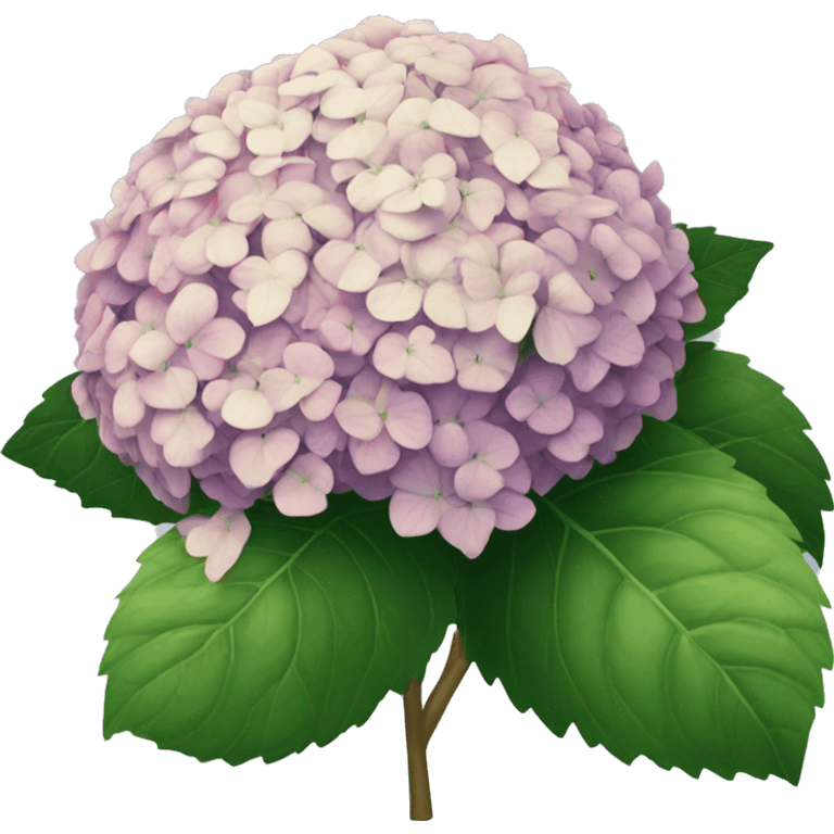 Hydrangea bush emoji