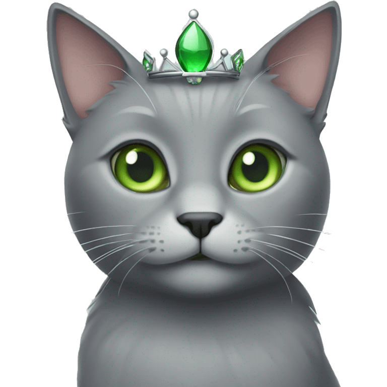 Grey cat with green eyes and a Princess crown  emoji