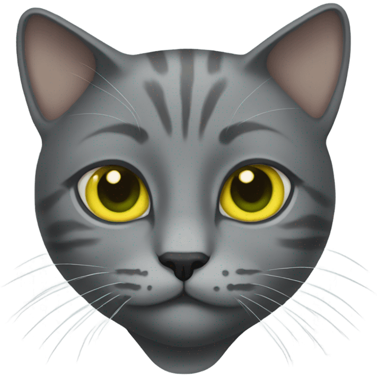 gray cat with yellow/green eyes emoji