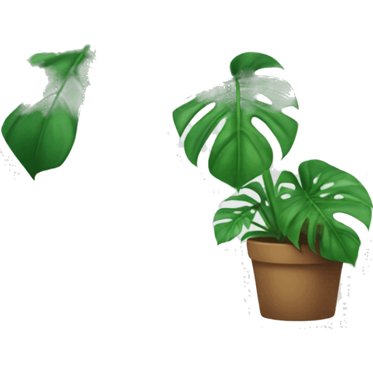 Monstera house plant emoji