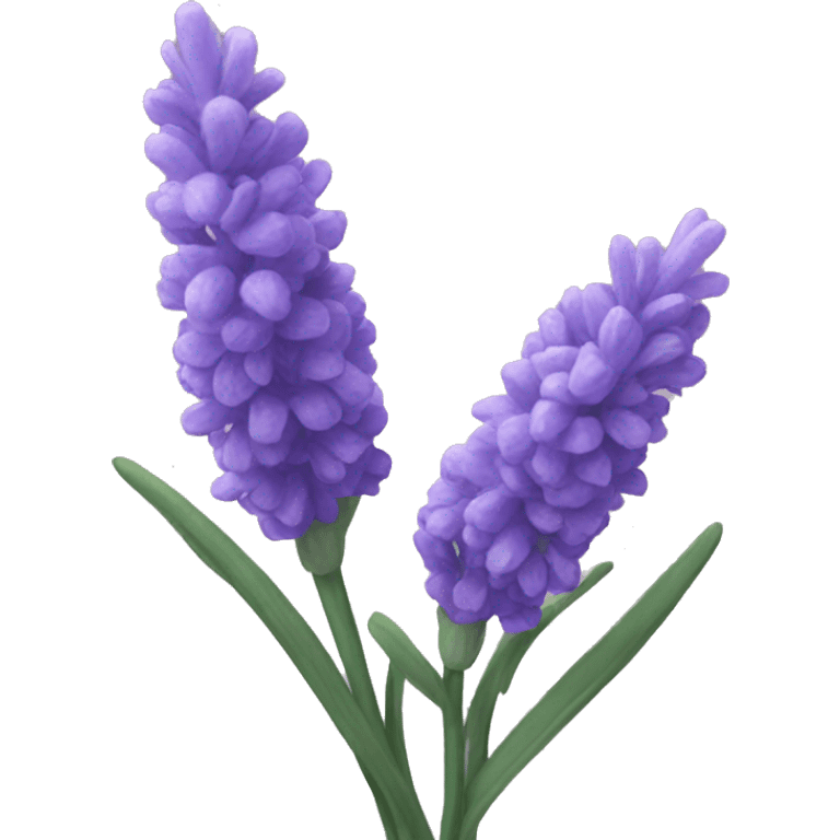 lavender close-up emoji