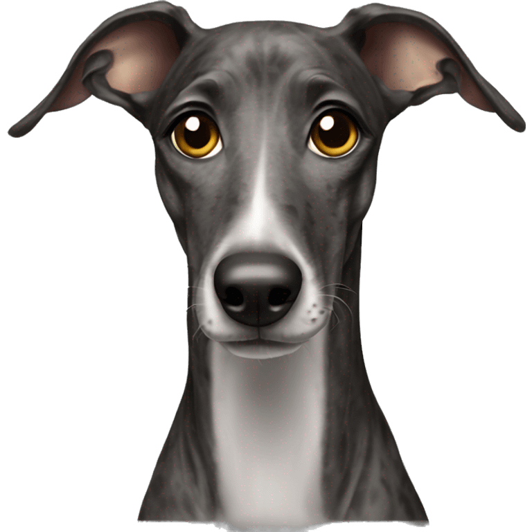 Galgo with brindle hair  emoji