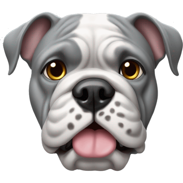 grey frech bulldog emoji