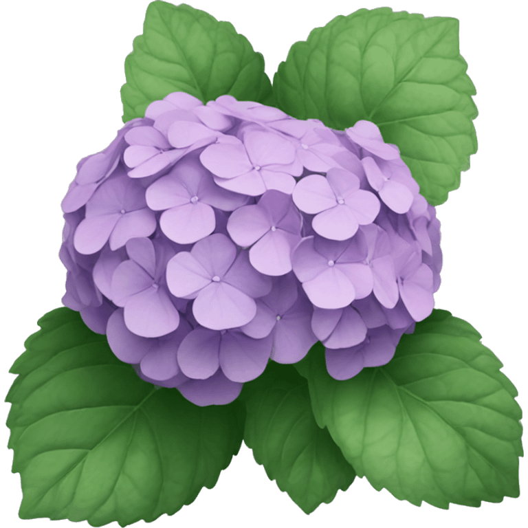 Hydrangea  emoji