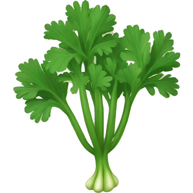 Cilantro emoji