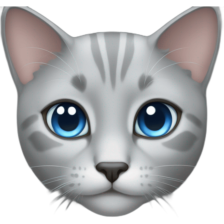 gray cat blue eyes emoji