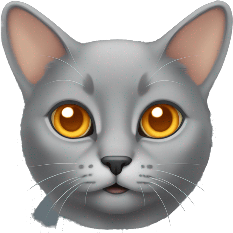 a grey lop-eared cat with orange eyes emoji