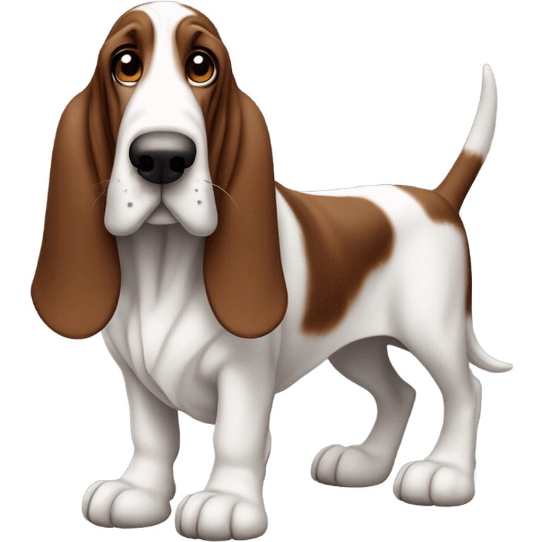 Basset hound  emoji