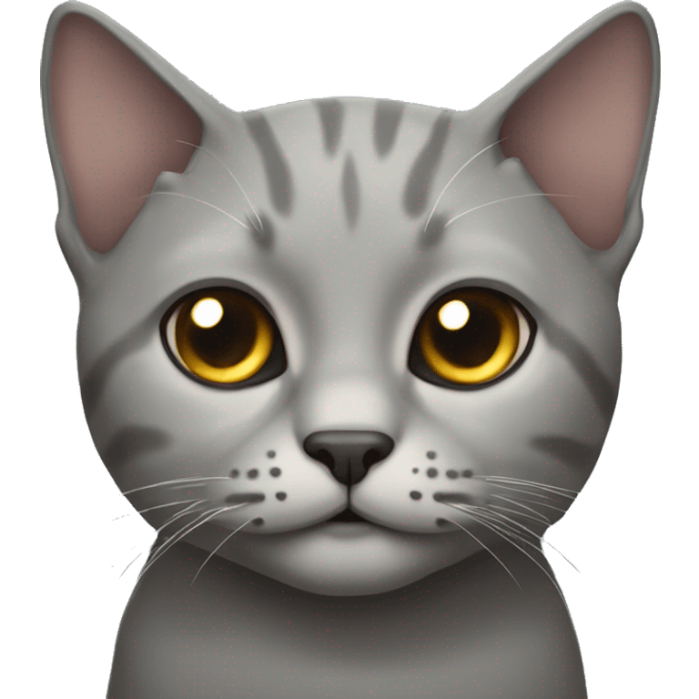 Grey skottish fold cat emoji