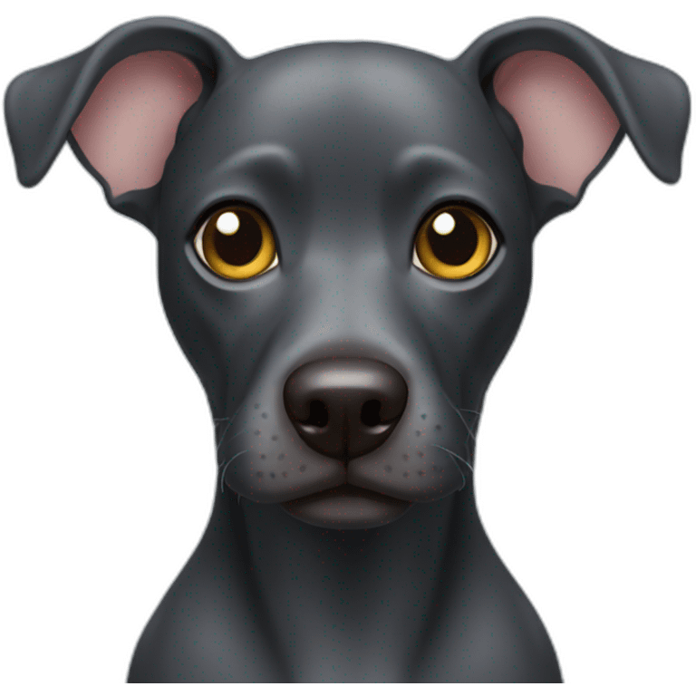 Black hairless water dog emoji