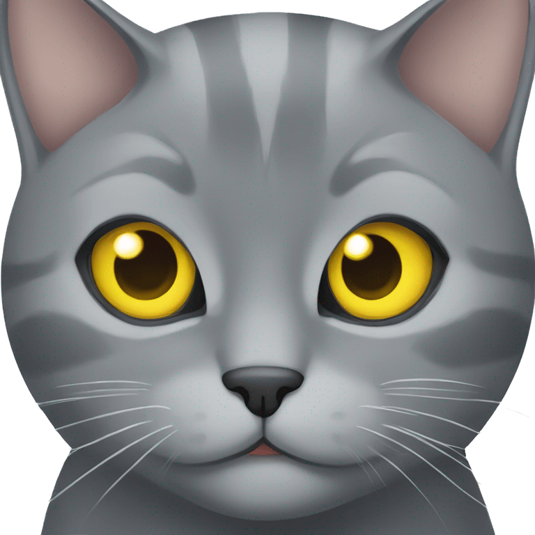 A grey cat with yellow eyes emoji