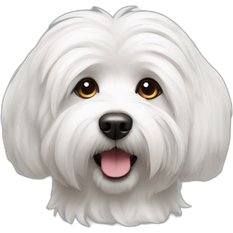 Coton de tulear emoji