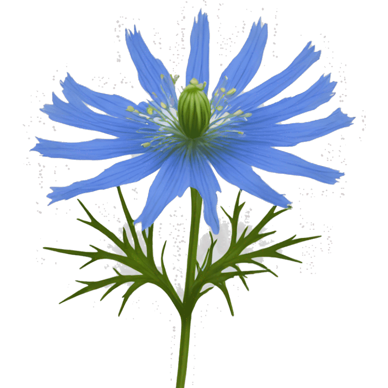 love-in-a-mist flower emoji