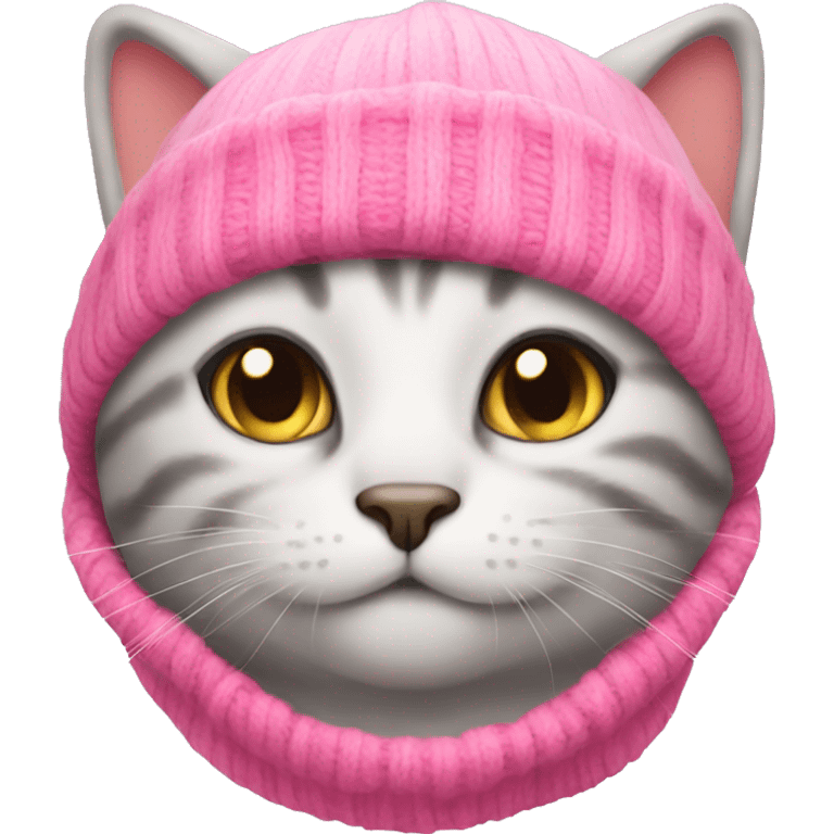 Cat wearing a pink beanie  emoji