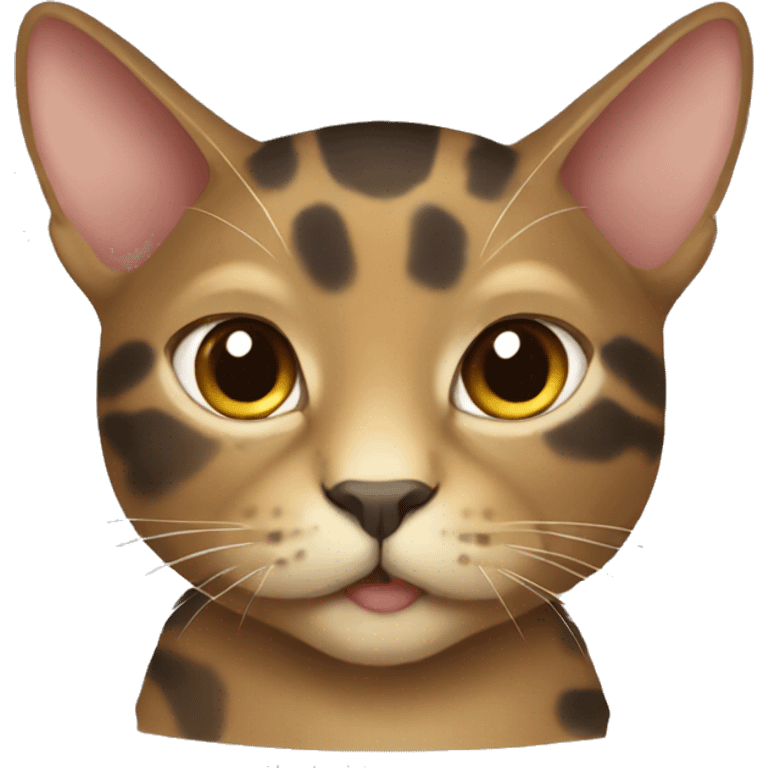 Tortoise colored cat emoji