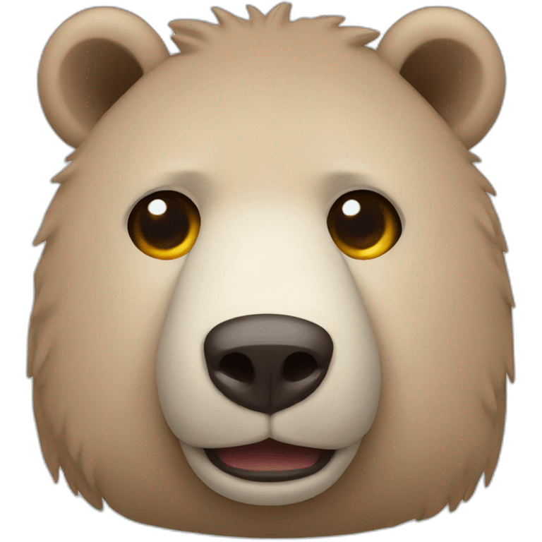 bear camera emoji