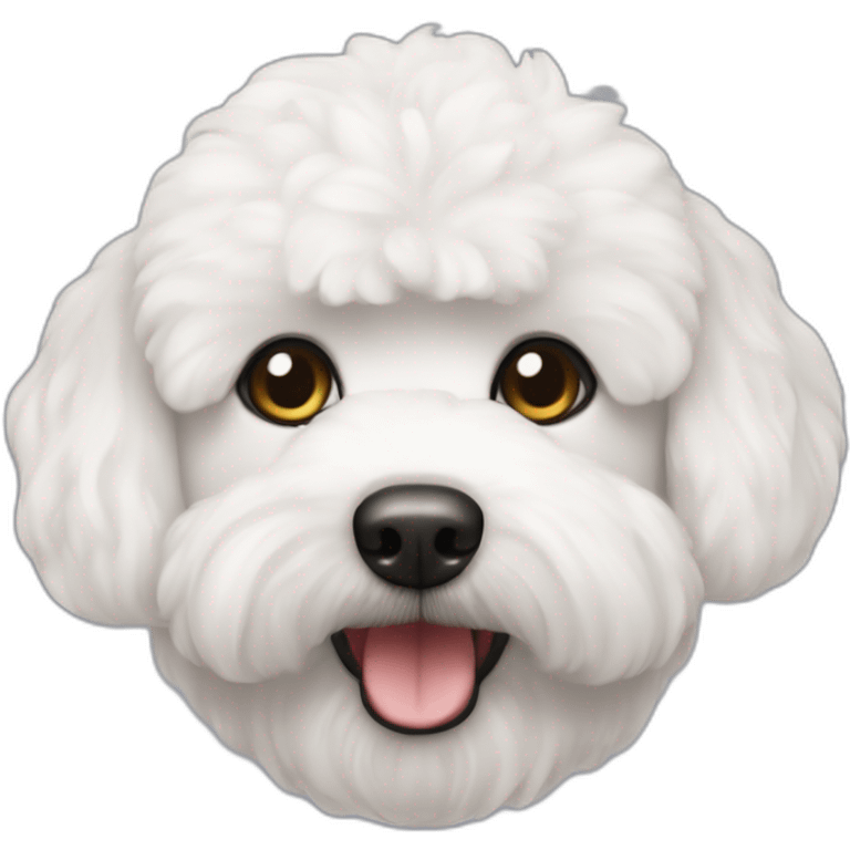 Bichon maltés con coleta emoji