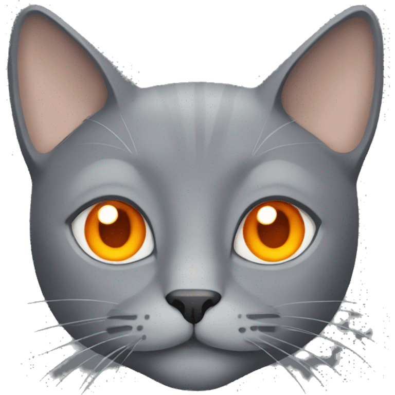 Grey cat with orange eyes  emoji