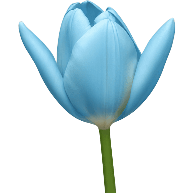 Light blue tulipa  emoji