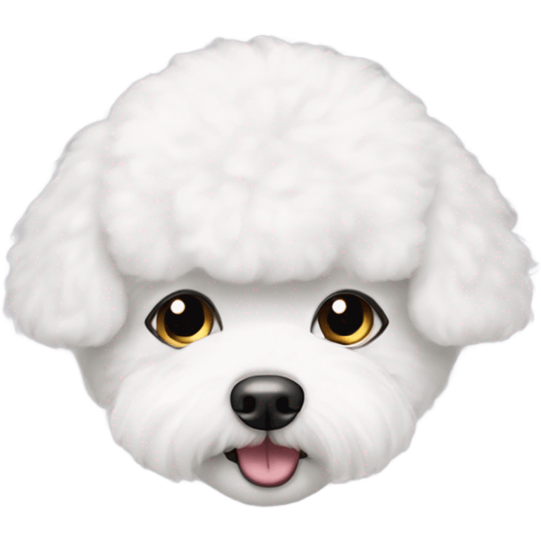 Bichon frise face emoji