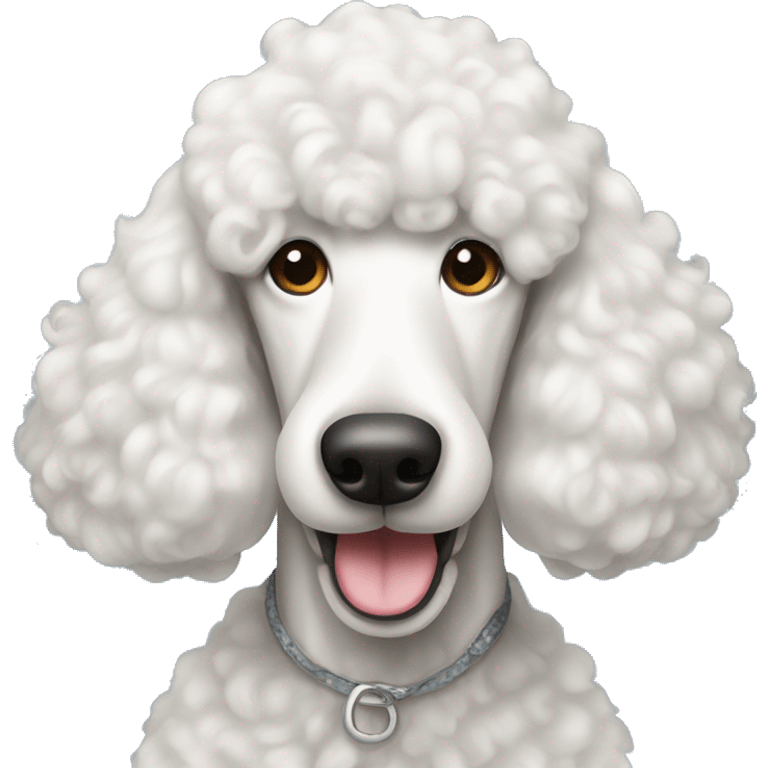 White standard poodle smiling  emoji