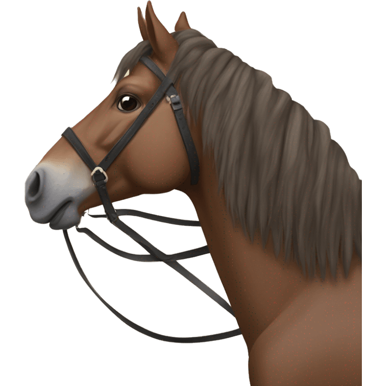 ahorse, ahorseback, and horseback: on the back of a horse emoji