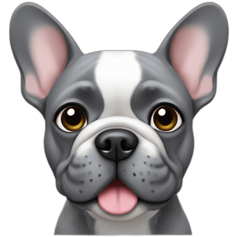 gray french bulldog  emoji