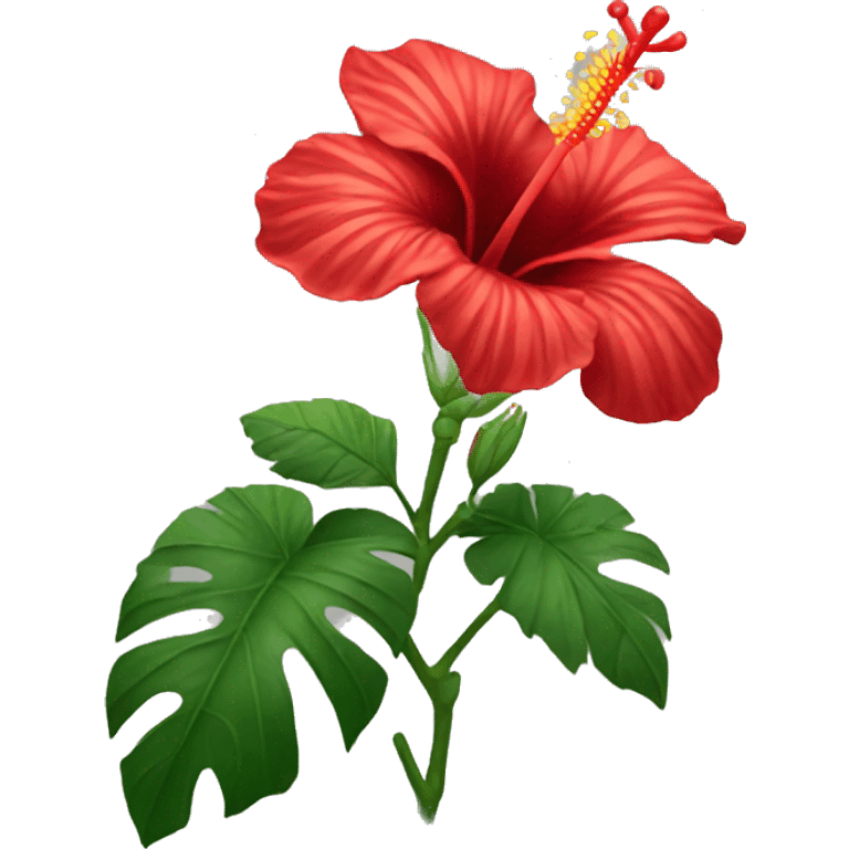 Red hibiscus flower  emoji