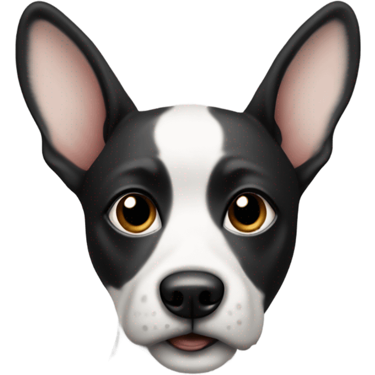 a dog with a black and white face, large ears. emoji