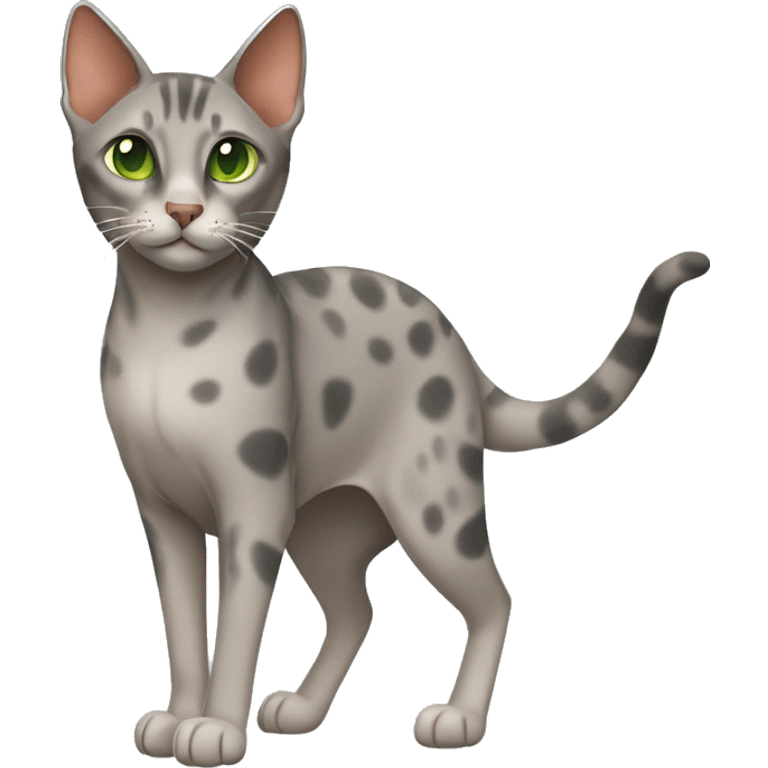 Short-haired oriental cat ,full body , grey coat with spots , green eyes , terracotta nuzzle emoji