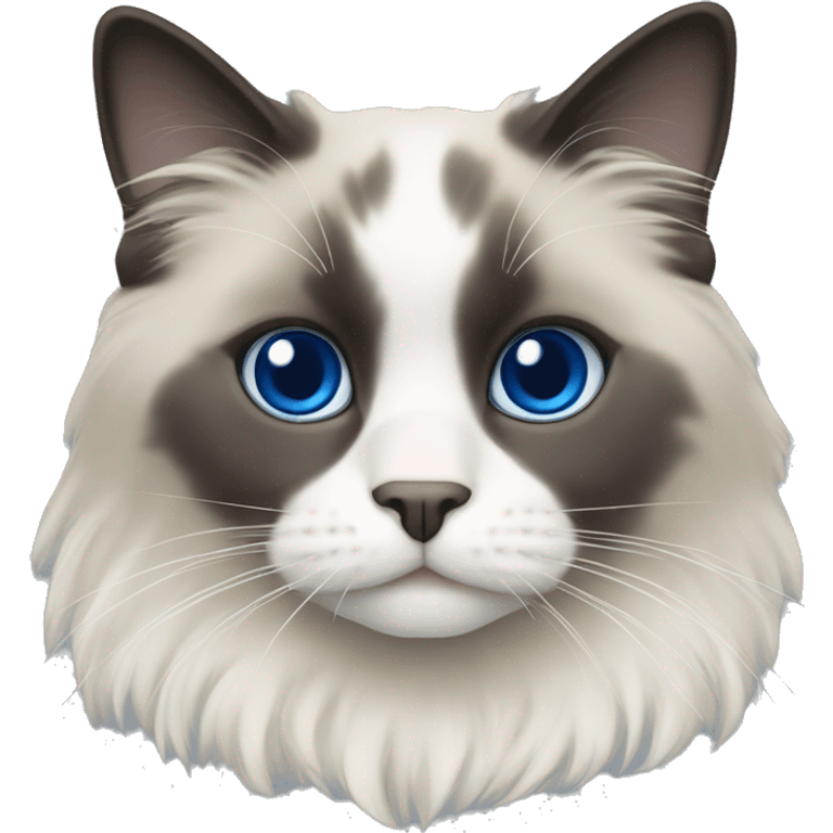 Blue point ragdoll with flat coat emoji