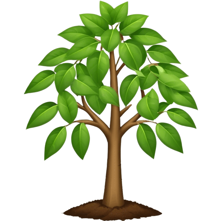 Money tree  emoji