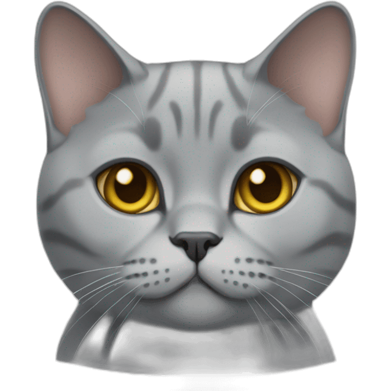 British shorthair cat gray emoji