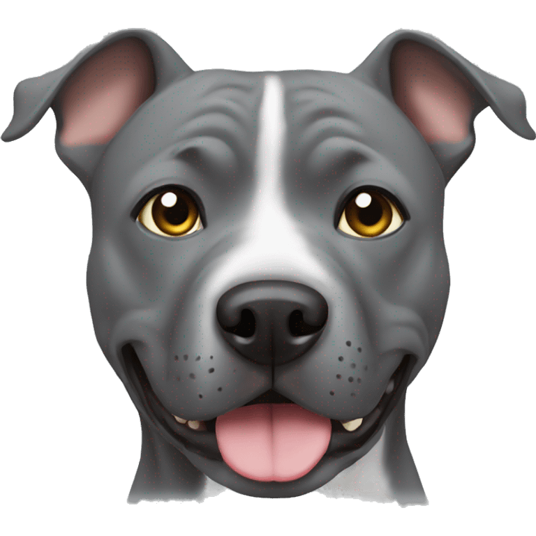 Grey staffy emoji