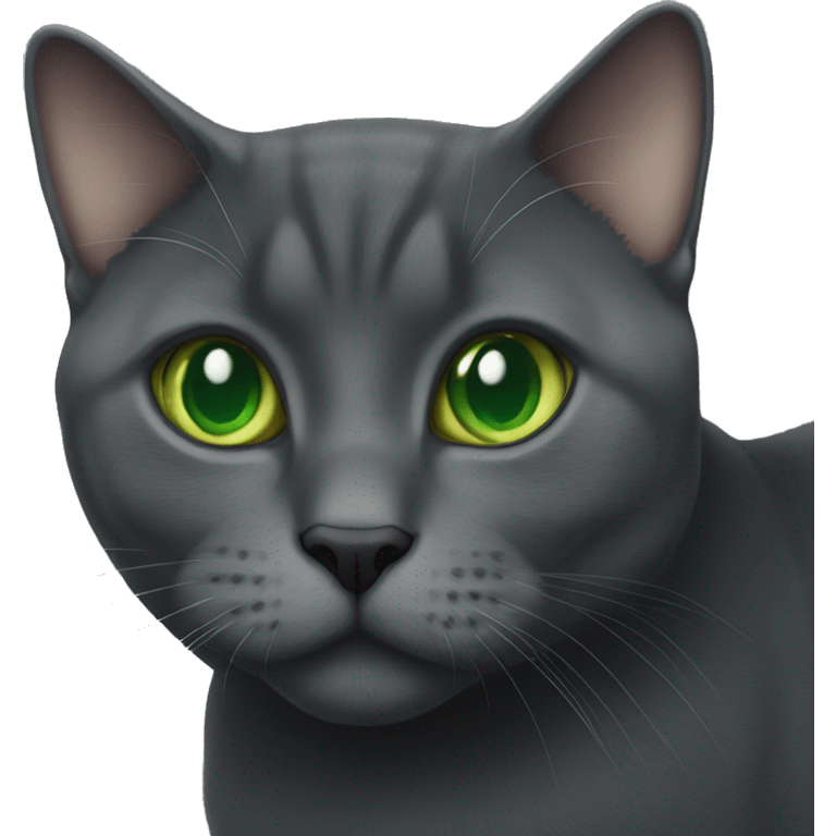 Dark grey British short hair cat with green eyes emoji