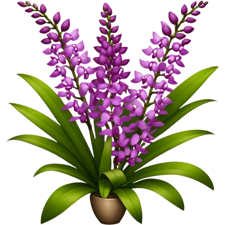 super big bouquet Rhynchostylis Orchid, stem, leaf emoji