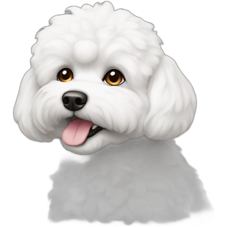 herat head bichon emoji