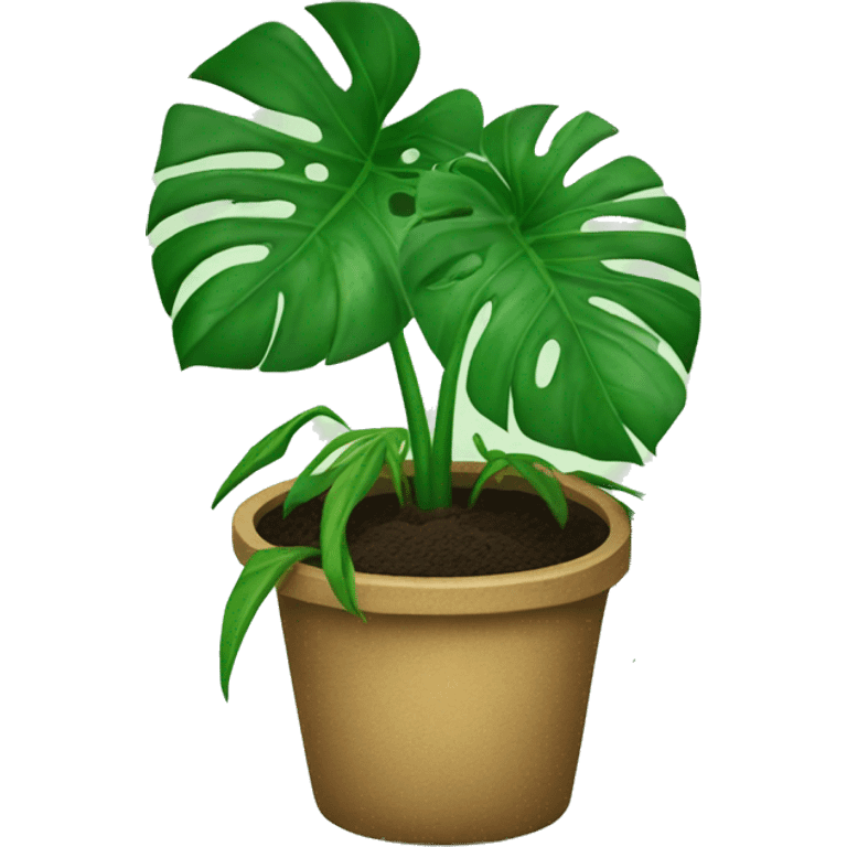 Monstera plant in soil emoji